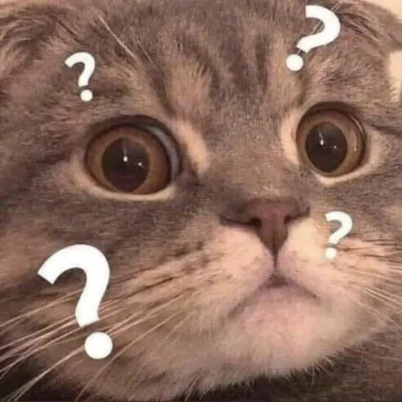 Meme mèo ngơ ngác