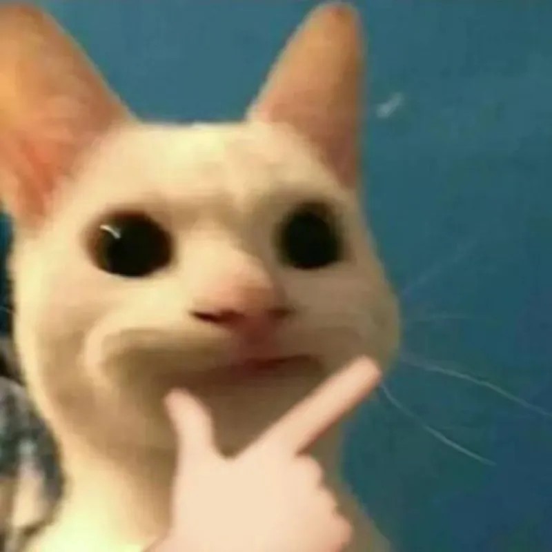 Meme mèo suy ngẫm