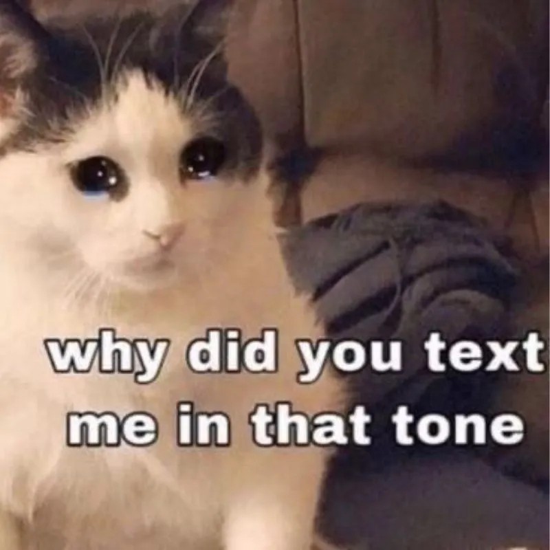 Meme mèo tủi thân