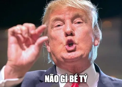 Meme chế não gì bé tý
