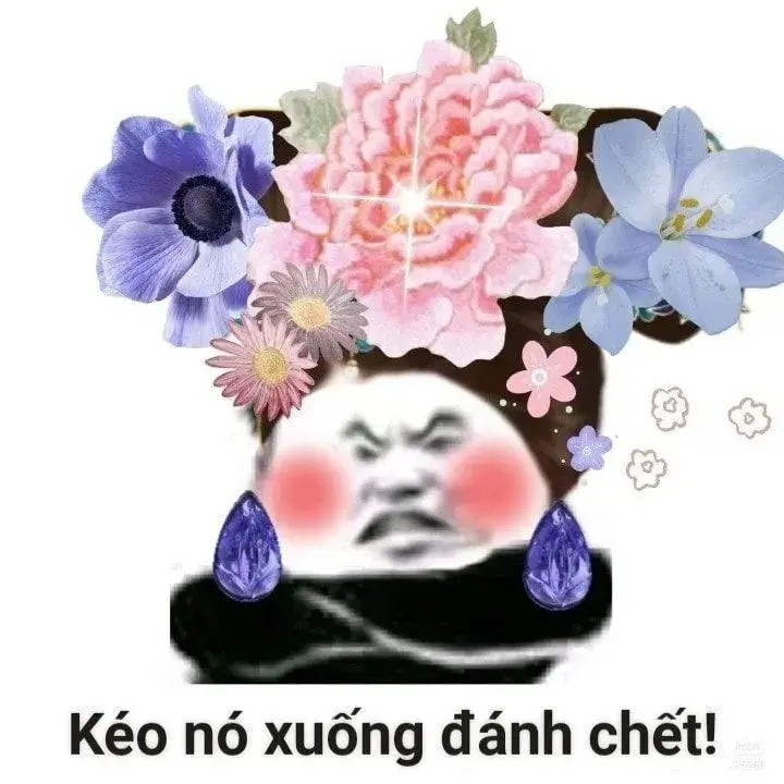Từ nhăn mặt đến bật cười: hành trình lan tỏa của meme biểu cảm
