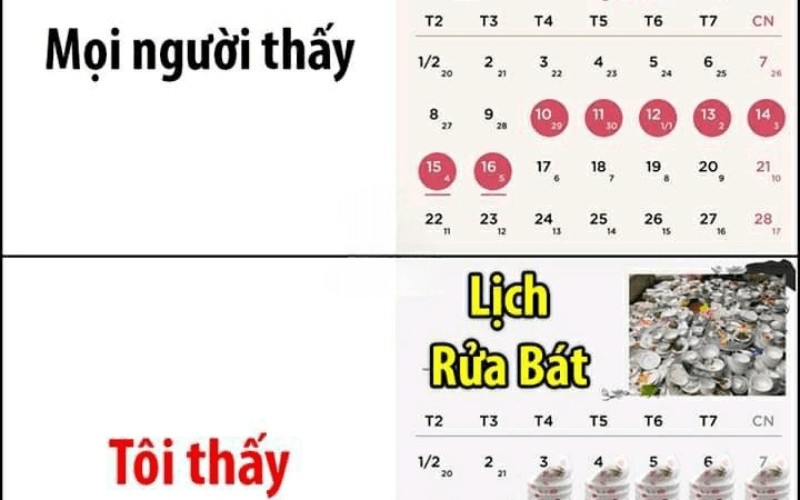Meme du lịch Tết