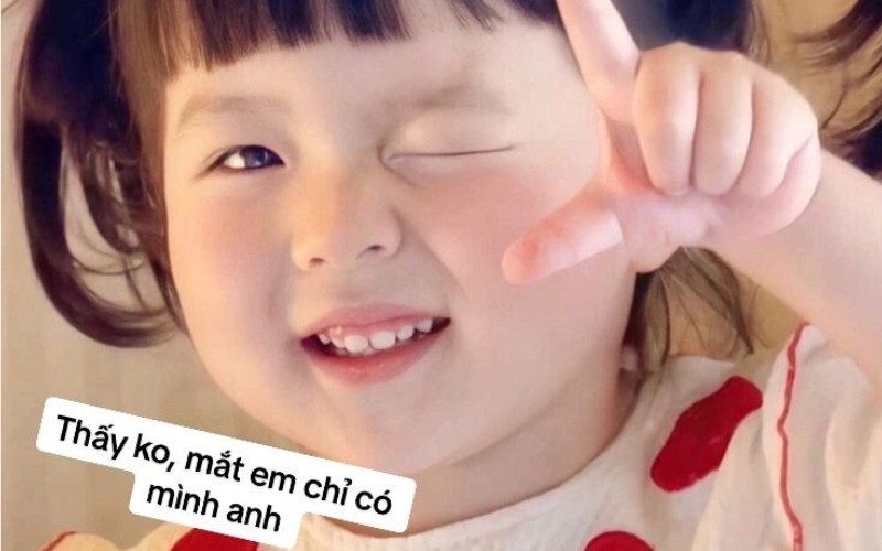Meme Tết cho FA 2