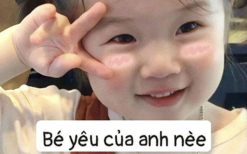 Meme Tết cho FA 3