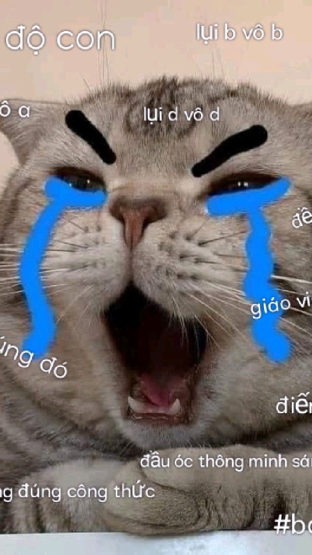 Meme hết tiền dịp Tết 3