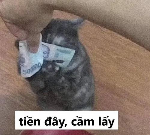 Hình chế vui đưa tiền kiểu bất cần đời