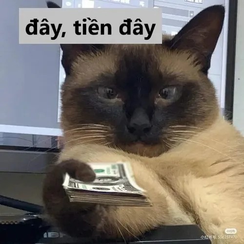 Meme hài “nói nhiều quá, đây tiền nè”