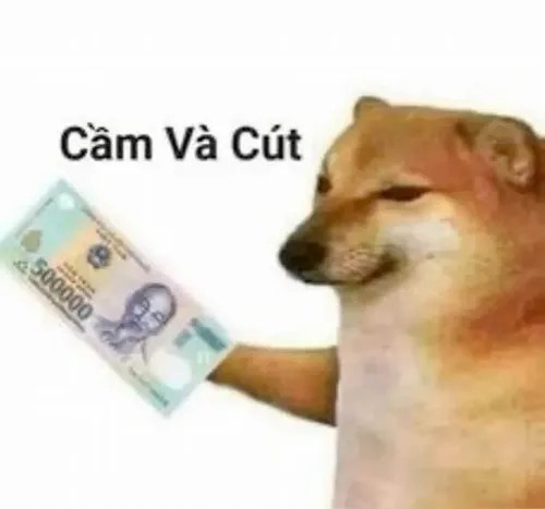 Meme chế “cầm đi, tôi mệt lắm rồi”