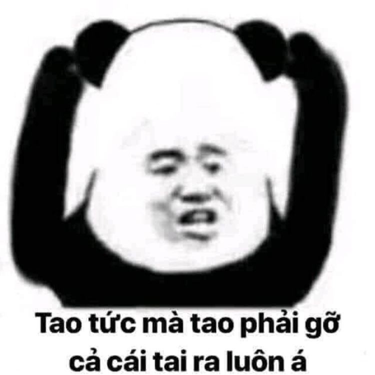 Tao tức mà tao phải gỡ cả cái tai ra