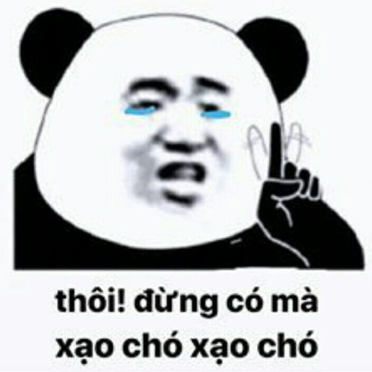 meme gấu trung quốc