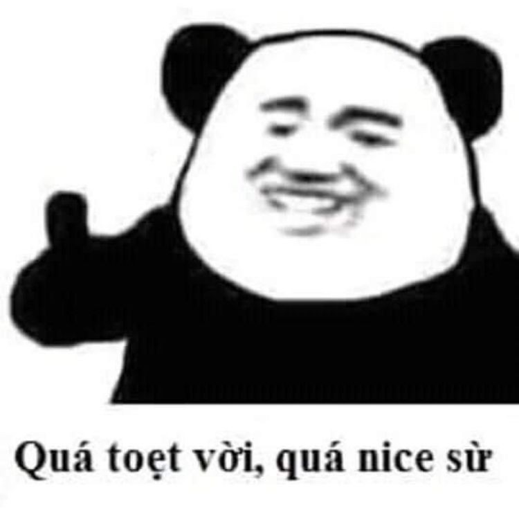 Quá tuyệt vời