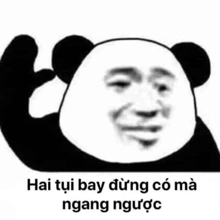 Hai tụi bay đừng có mà ngang ngược