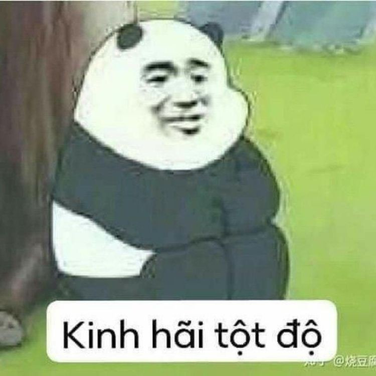 Kinh hải tột độ