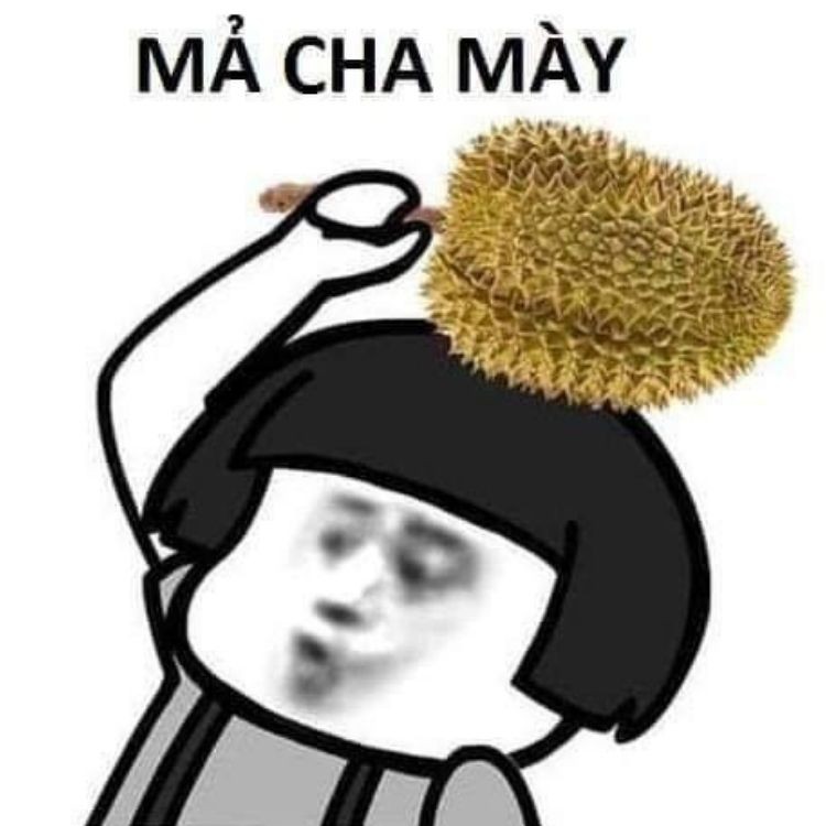 Meme là gì?