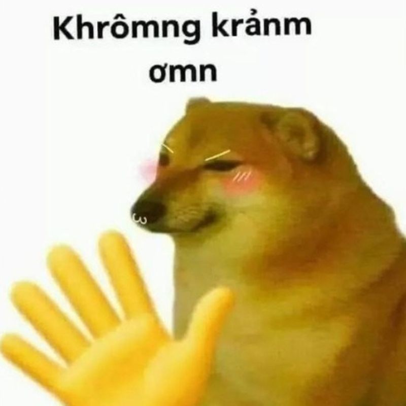 Meme từ chối nói không