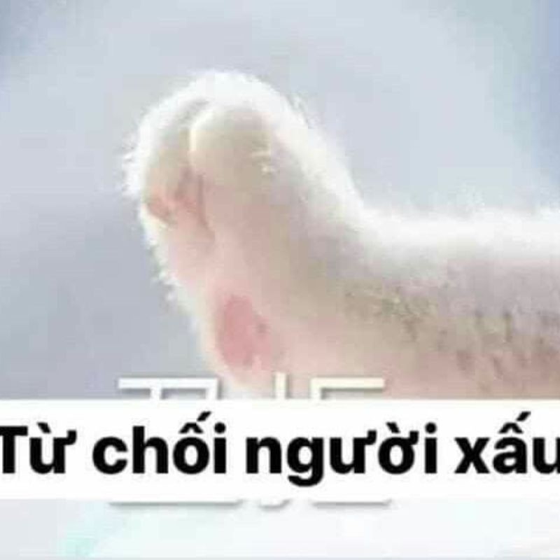 Ảnh meme từ chối người xấu