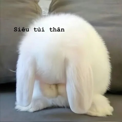 Meme tủi thân diễn tả cảm giác bị bỏ quên giữa cuộc vui