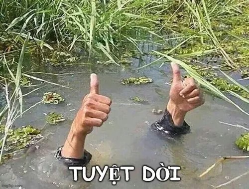 Meme hài tuyệt cú mèo, nhìn thôi đã mê