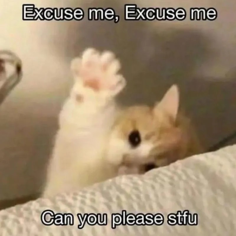 Mèo giơ tay meme