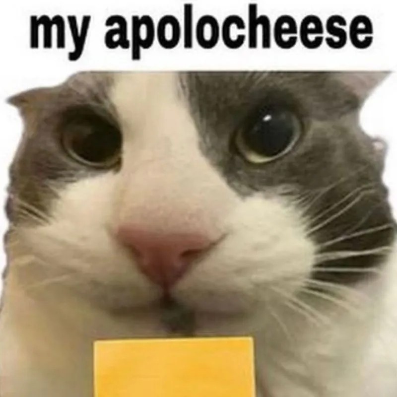 Mèo hài meme