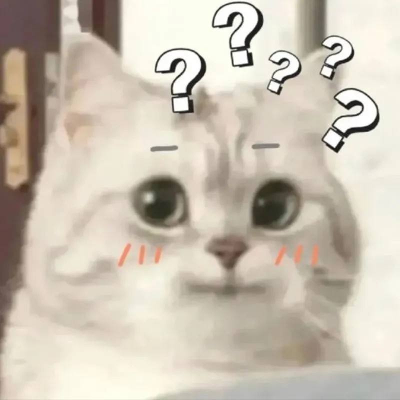 Mèo meme hài hước