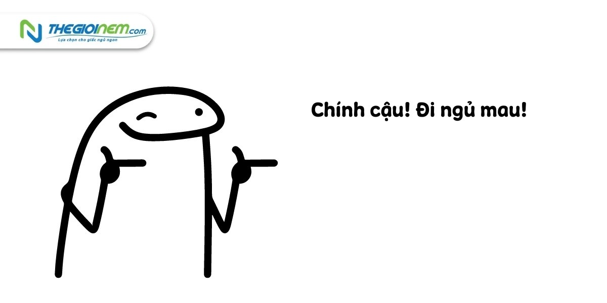 Một chú gấu trúc đang ngủ gật một cách đáng yêu