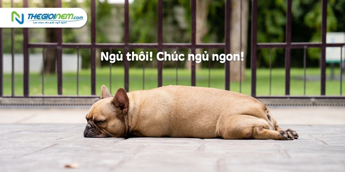 Hình ảnh một người đang "lết" về giường sau một ngày dài làm việc